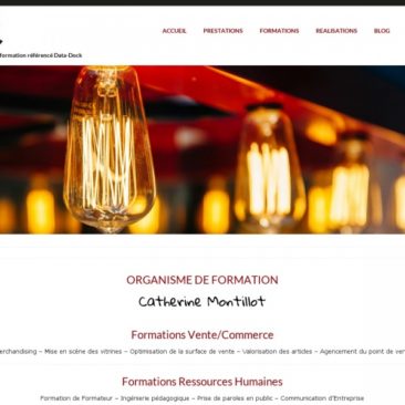 thème graphique du site web ckti salon de provence