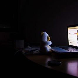 ourson devant écran web