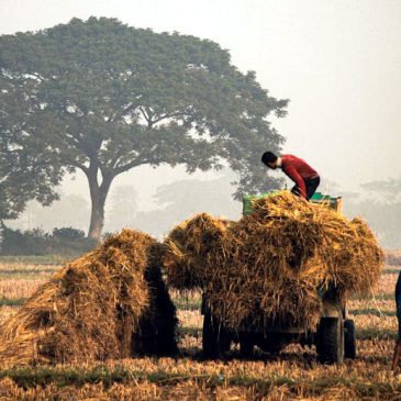 Le coût humain du productivisme Partie 5 : Les mécanismes communs