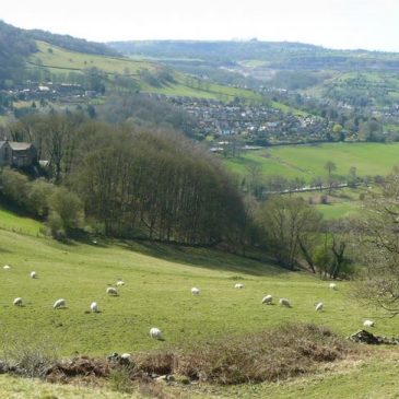 Le coût humain du productivisme. Partie 1 – Les enclosures en Angleterre (XVIe-XIXe siècle)