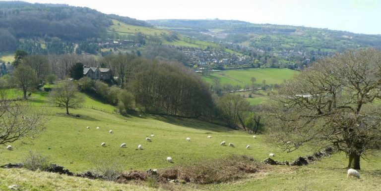 Campagne anglo-saxonne avec moutons