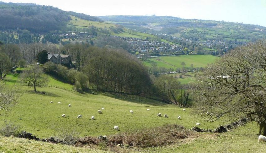 Campagne anglo-saxonne avec moutons