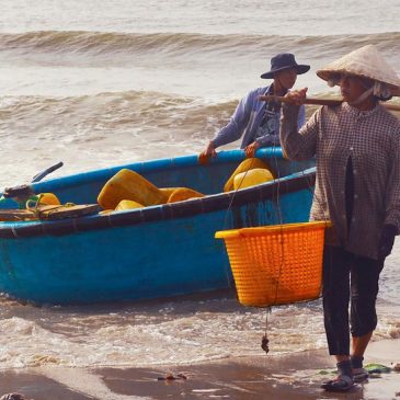 Le coût humain du productivisme  Partie 6 : Conclusion