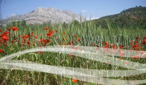 photoshop-bandeau-vague